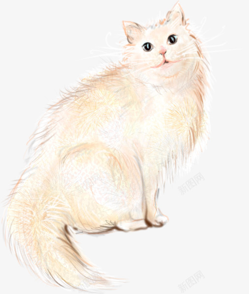 创意合成水彩白色的小猫png免抠素材_新图网 https://ixintu.com 创意 合成 水彩 白色