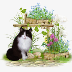 花圃前的小猫咪素材