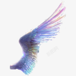 水彩翅膀彩色翅膀高清图片