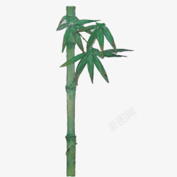 翠绿色的竹子绿竹手绘画片高清图片