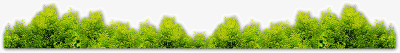 绿色树木树林森林png免抠素材_新图网 https://ixintu.com 树木 树林 森林 绿色