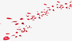排列的红色花瓣七夕情人节海报背景素材