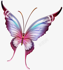 精美创意方形图案花纹动物梦幻紫色蝴蝶高清图片
