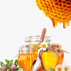 产品实物蜂蜜花朵素材