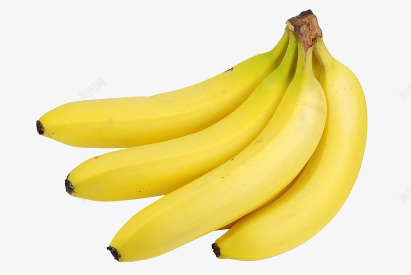 一把香蕉摄影png免抠素材_新图网 https://ixintu.com 一把香蕉摄影 实物 水果 水果果实 生香蕉 香蕉 鲜果蔬果