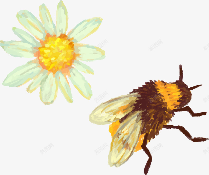 蜜蜂蜂蜜装饰元素png免抠素材_新图网 https://ixintu.com 标签 花朵 蜂蜜 蜜蜂 装饰