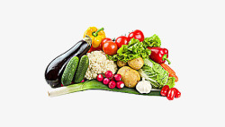 可口的白菜蔬菜高清图片