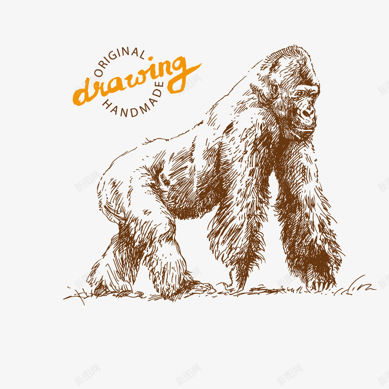 卡通手绘线稿野生动物png免抠素材_新图网 https://ixintu.com 动物 卡通 手绘 狒狒 线稿 野生动物