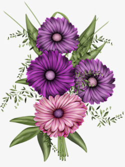 鲜艳的紫色鲜花素材