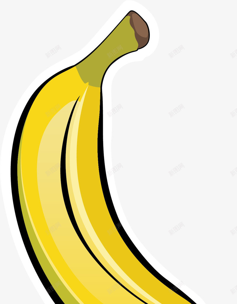细致描绘的黄色香蕉png免抠素材_新图网 https://ixintu.com 单个香蕉 水果香蕉 矢量香蕉 细致描绘 非洲香蕉 香蕉 黄色