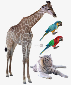 折纸动物和鹦鹉素材