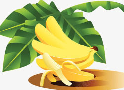 香蕉叶子素材