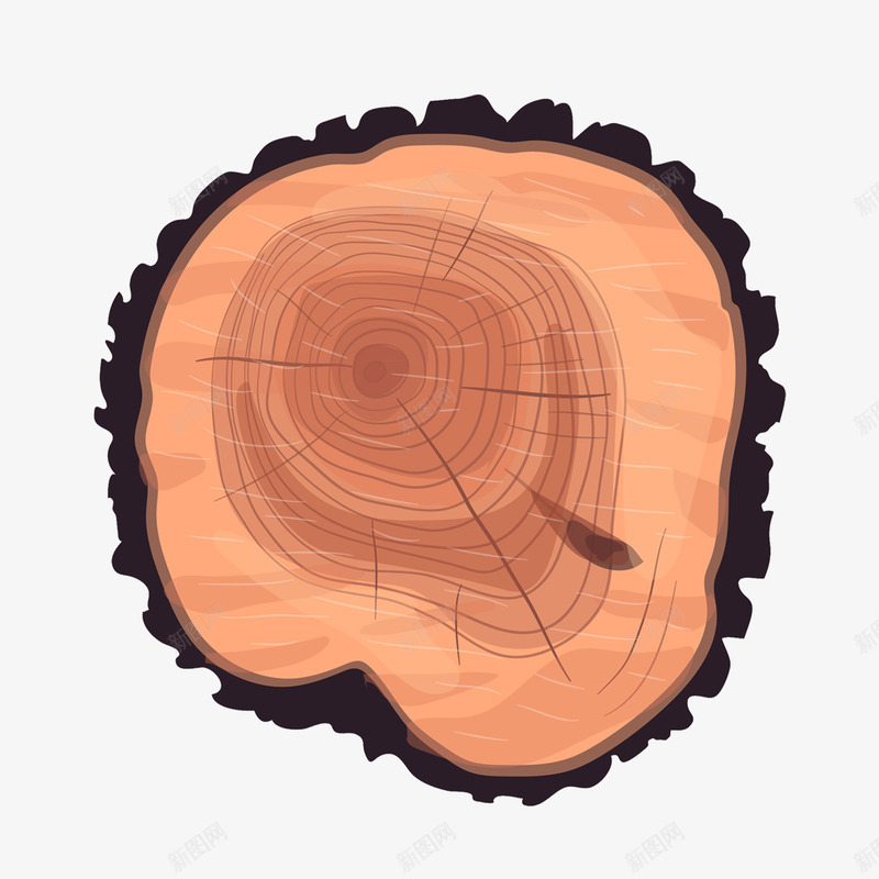桉树树干树轮psd免抠素材_新图网 https://ixintu.com 家具 年轮 木头 树干 桉树 粗树干