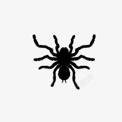 蜘蛛标签手绘黑蜘蛛图标高清图片