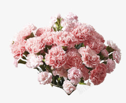 粉色花朵鲜艳花束素材
