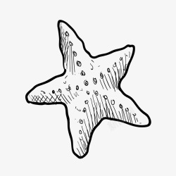 海星图标海星矢量图图标高清图片