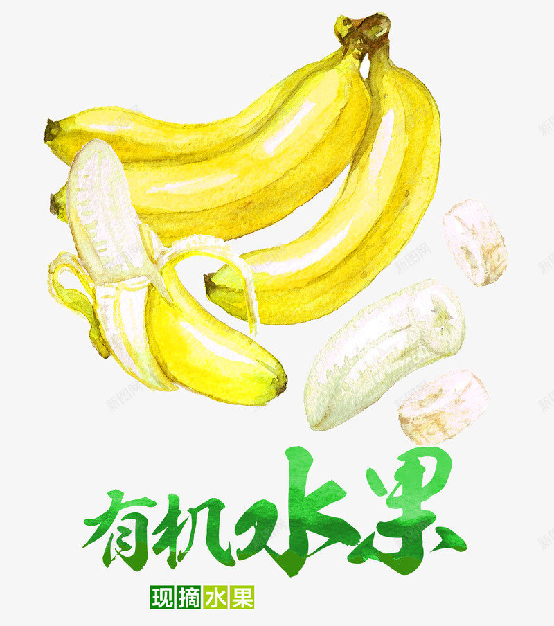 有机水果png免抠素材_新图网 https://ixintu.com 手绘 水彩 水果 香蕉
