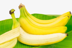 香蕉叶子素材