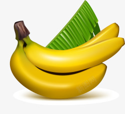 香蕉与芭蕉叶素材