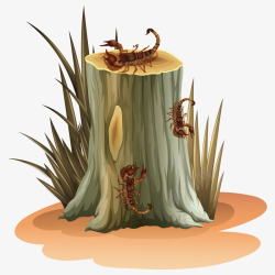 木桩上的槟榔木桩上的蝎子高清图片