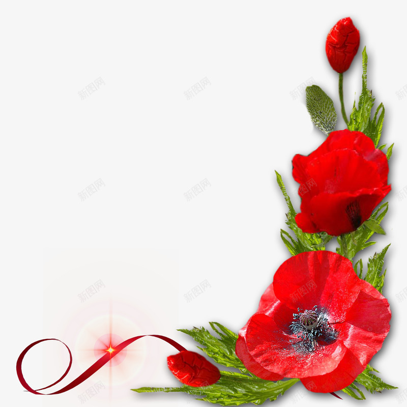 红色花卉装饰图案png免抠素材_新图网 https://ixintu.com 红色 花卉 装饰图案 鲜艳