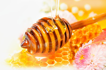 养生天然蜂蜜花朵蜂巢png免抠素材_新图网 https://ixintu.com 养生 天然 花朵 蜂巢 蜂蜜
