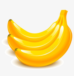 一挂新鲜成熟香蕉素材