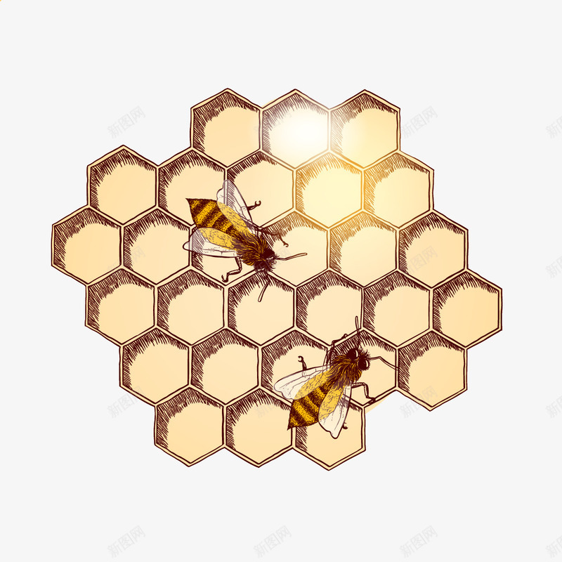 蜂蜜蜂巢png免抠素材_新图网 https://ixintu.com 发光 手绘 蜜蜂 黄色