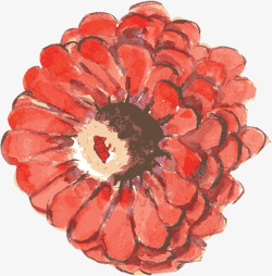 手绘红色夏季鲜艳花朵素材