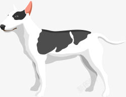宠物食品手绘手绘卡通宠物狗牛头梗高清图片