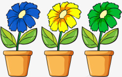 三种颜色向日葵素材