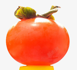 熟透的柿子柿子顶光摄影高清图片