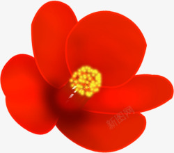 红色卡通艺术花朵鲜艳素材