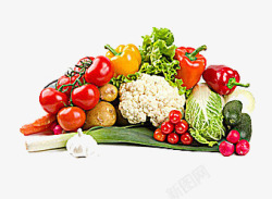 可口的白菜蔬菜高清图片