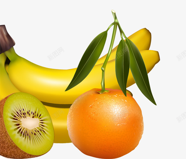 猕猴桃橘子香蕉psd免抠素材_新图网 https://ixintu.com 健康 农业 扣好的水果 水果 瓜果 绿色 蔬菜