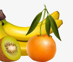 猕猴桃橘子香蕉素材