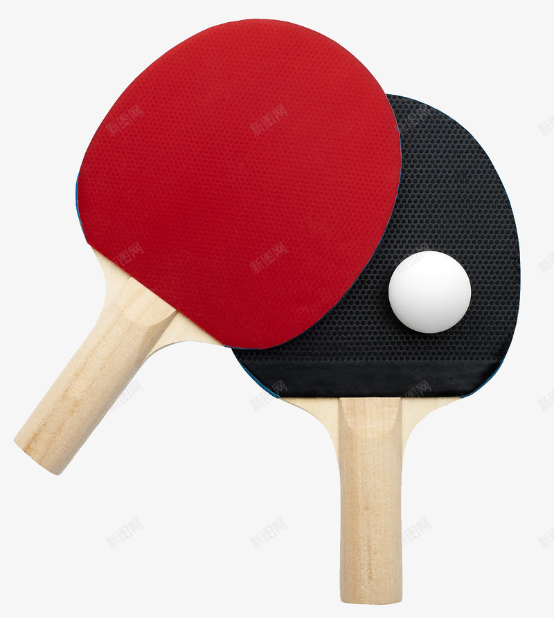 不同的乒乓球拍png免抠素材_新图网 https://ixintu.com 乒乓拍 乒乓球 乒乓球拍 体育运动 工具 拍子 球拍 装备