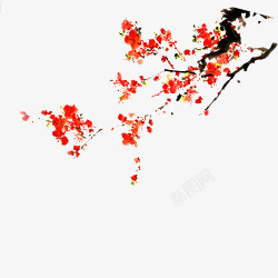 鲜艳红色黑色炸裂腊月梅花高清图片