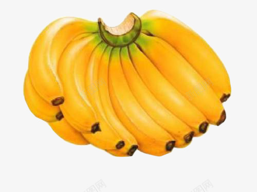 一大把黄色的香蕉png免抠素材_新图网 https://ixintu.com 水果 熟透的 香蕉 黄色