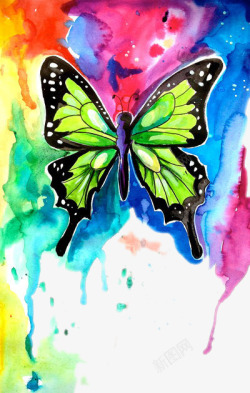 水彩绘制的花蝴蝶素材