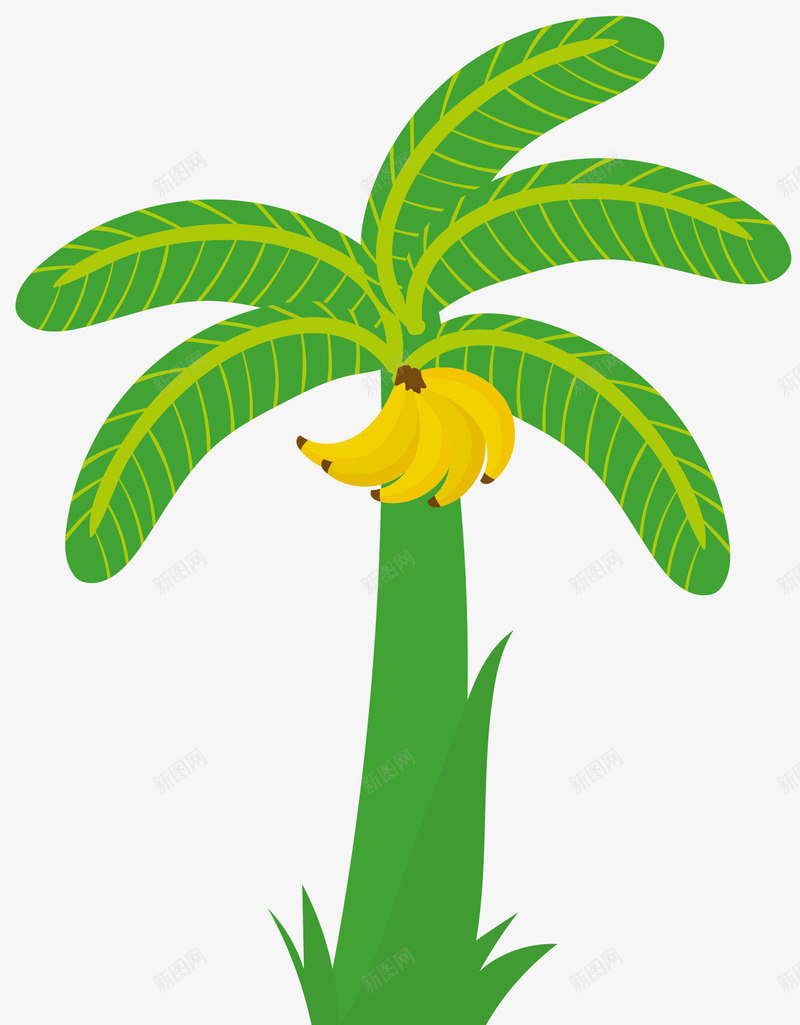 黄绿色果实香蕉树png免抠素材_新图网 https://ixintu.com 卡通 卡通香蕉树 果实 果树 热带香蕉树 矢量香蕉树 黄绿色