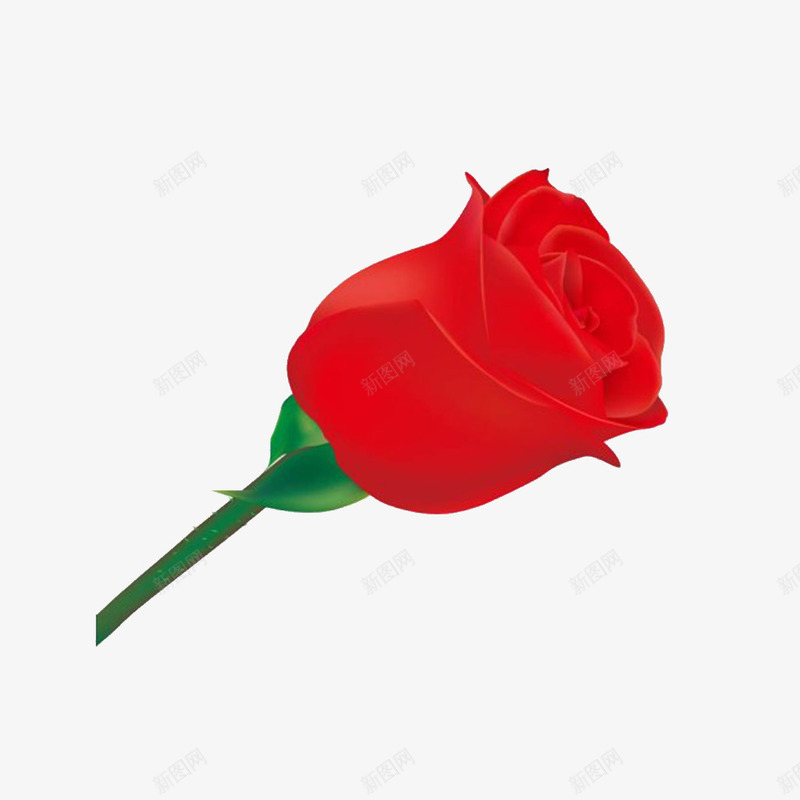 一朵红色玫瑰花png免抠素材_新图网 https://ixintu.com 3D玫瑰 一朵玫瑰花 粉红色 红色玫瑰 红色的 花朵 鲜艳的