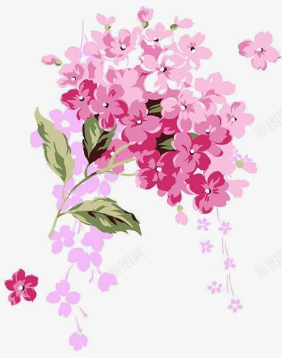 一簇鲜艳的粉色花朵png免抠素材_新图网 https://ixintu.com 粉色 花朵 鲜艳