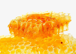 蜜巢蜂蜜巢高清图片