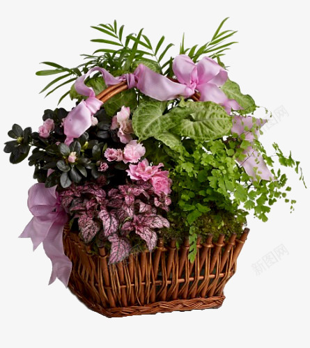 花朵花篮png免抠素材_新图网 https://ixintu.com 植物 玫瑰 花朵 花朵png免费下载 花朵花篮 鲜艳花朵 鲜花