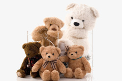 玩具熊床家庭素材