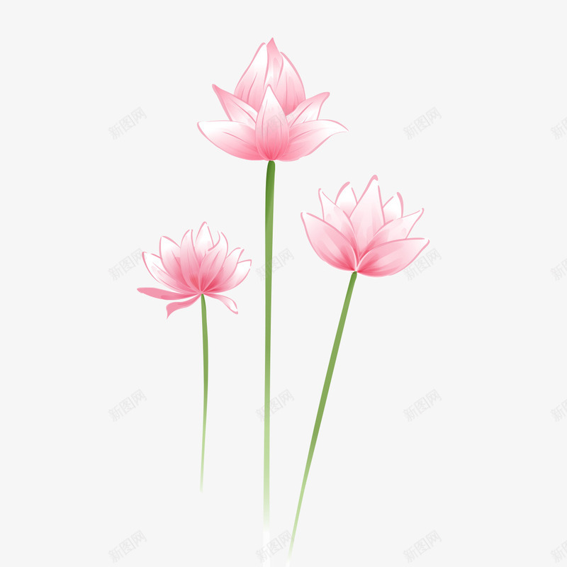粉色的鲜艳花朵png免抠素材_新图网 https://ixintu.com 粉色 粉色的鲜艳花朵 粉色花朵 花朵 鲜艳 鲜艳花朵