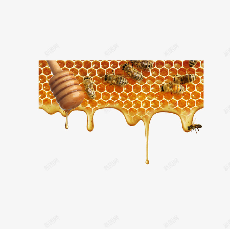 蜂窝png免抠素材_新图网 https://ixintu.com 蜂蜜 蜜蜂 蜜蜂窝 金黄