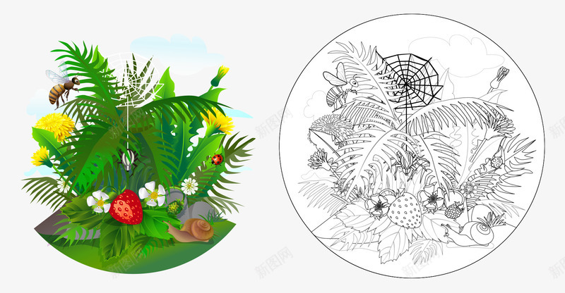 卡通手绘线稿彩色草丛蜗牛花朵png免抠素材_新图网 https://ixintu.com 卡通的动物 彩色的花朵 手绘的蜗牛 线稿的草丛