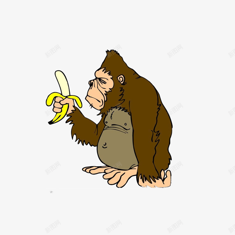金刚猩猩png免抠素材_新图网 https://ixintu.com 一个猩猩头 力大无穷 强壮粗鲁 拿着香蕉 棕色 沉思 金刚猩猩